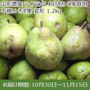 山形県産 ラ・フランス わけあり ご家庭用 不揃い きず果 変形 1.2kg 【お届け期間：10月30日〜11月15日】【お買い得セール10月】