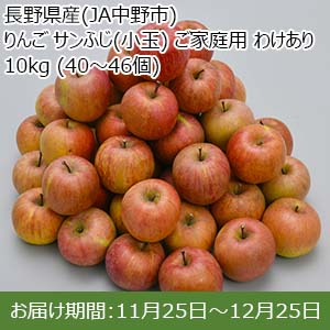 長野県産(JA中野市) りんご サンふじ(小玉) ご家庭用 わけあり 10kg (40〜46個)【限定数100】【お届け期間：11月25日〜12月25日】【お買い得セール10月】