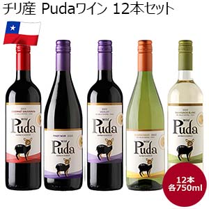 チリ産 Pudaワイン 12本セット 【お買い得セール10月】