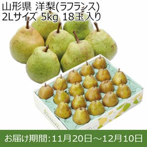 山形県 洋梨(ラフランス) 2Lサイズ 5kg 18玉入り【お届け期間：2024/11/20〜2024/12/10 】【ふるさとの味・北関東】