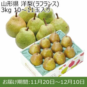 山形県 洋梨(ラフランス) 3kg 10〜11玉入り【お届け期間：2024/11/20〜2024/12/10 】【ふるさとの味・北関東】