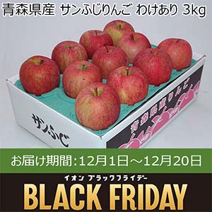 青森県産 サンふじりんご わけあり 3kg【お届け期間：12月1日〜12月20日】【ブラックフライデー】