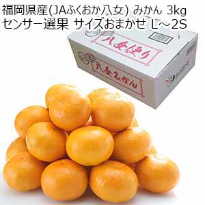 福岡県産(JAふくおか八女) みかん 3kg センサー選果 サイズおまかせ L〜2S【限定1000点】【お届け期間:11月16日〜12月15日】【ブラックフライデー】