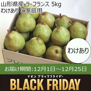 山形県産 ラ・フランス 5kg わけあり ご家庭用【限定100点】【お届け期間：12月1日〜12月25日】【ブラックフライデー】