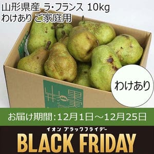 山形県産 ラ・フランス 10kg わけあり ご家庭用【限定100点】【お届け期間：12月1日〜12月25日】【ブラックフライデー】