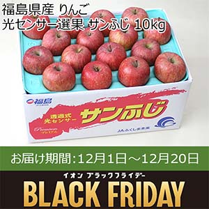 福島県産 りんご 光センサー選果 サンふじ 10kg【お届け期間：12月1日〜12月20日】【ブラックフライデー】