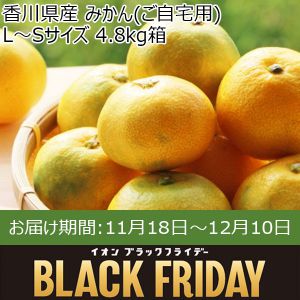 香川県産 みかん(ご自宅用) L〜Sサイズ 4.8kg箱【お届け期間:11月18日〜12月10日】【ブラックフライデー】【ふるさとの味・中四国】