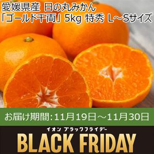 愛媛県産  日の丸みかん「ゴールド千両」 5kg 特秀 L〜Sサイズ【お届け期間:11月19日〜11月30日】【ブラックフライデー】【ふるさとの味・中四国】