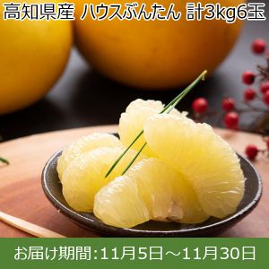 高知県産 ハウスぶんたん 計3kg6玉【お届け期間:11月5日〜11月30日】【ふるさとの味・中四国】