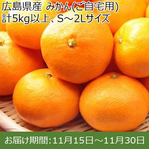 広島県産 みかん(ご自宅用) 計5kg以上、S〜2Lサイズ【お届け期間:11月15日〜11月30日】【ふるさとの味・中四国】