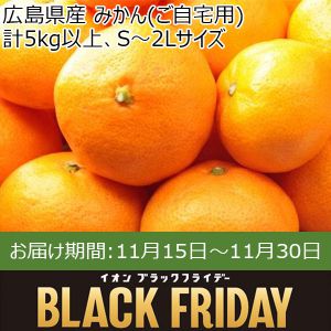 広島県産 みかん(ご自宅用) 計5kg以上、S〜2Lサイズ【お届け期間:11月15日〜11月30日】【ブラックフライデー】【ふるさとの味・中四国】