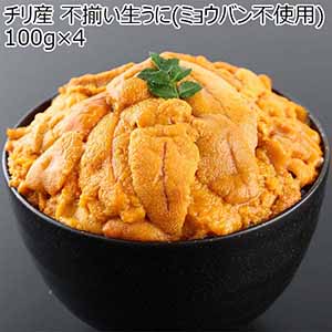 チリ産 不揃い生うに(ミョウバン不使用) 100g×4【お届け期間：12月24日〜12月31日】【福袋】