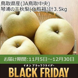 鳥取県産(JA鳥取中央)琴浦の王秋梨(化粧箱)計3.5kg・赤秀5玉〜6玉【お届け期間:11月5日〜12月30日】【ブラックフライデー】【ふるさとの味・中四国】