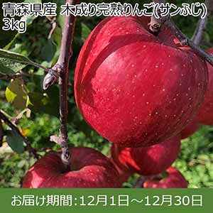 青森県産 木成り完熟りんご(サンふじ) 3kg【限定100点】【お届け期間：12月1日〜12月30日】 【イオンカード会員限定12月】