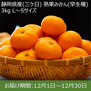 静岡県産(三ケ日) 熟果みかん(早生種) 3kg L〜Sサイズ【お届け期間：12月1日〜12月30日】 【イオンカード会員限定12月】