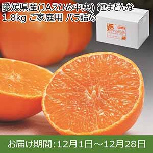 愛媛県産(JAえひめ中央) 紅まどんな 1.8kg ご家庭用 バラ詰め【限定200点】【お届け期間：12月1日〜12月28日】 【イオンカード会員限定12月】