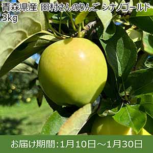 青森県産 田村さんのりんご シナノゴールド 3kg【限定50点】【お届け期間：1月10日〜1月30日】 【イオンカード会員限定12月】