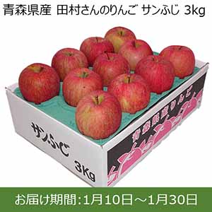 青森県産 田村さんのりんご サンふじ 3kg【限定50点】【お届け期間：1月10日〜1月30日】 【イオンカード会員限定12月】