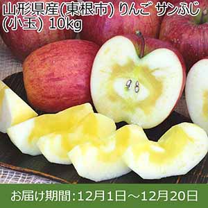 山形県産(東根市) りんご サンふじ(小玉) 10kg【限定100点】【お届け期間：12月1日〜12月20日】 【イオンカード会員限定12月】