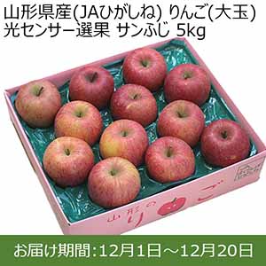 山形県産(JAひがしね) りんご(大玉) 光センサー選果 サンふじ 5kg【限定100点】【お届け期間：12月1日〜12月20日】 【イオンカード会員限定12月】