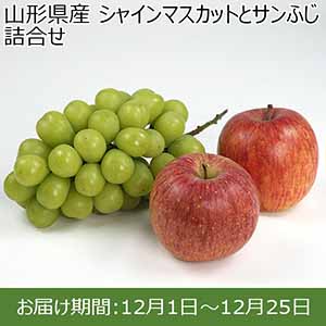 山形県産 シャインマスカットとサンふじ 詰合せ【限定100点】【お届け期間：12月1日〜12月25日】 【イオンカード会員限定12月】