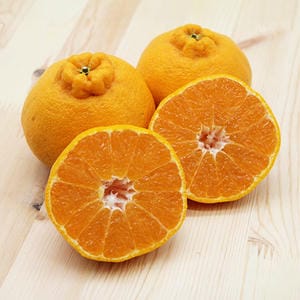 鹿児島県産 大将季 3kg【限定100点】【お届け期間：12月20日〜12月28日】【イオンゴールドカード会員さま限定特別セール12月】