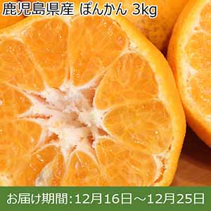 鹿児島県産 ぽんかん 3kg【限定50点】【お届け期間：12月16日〜12月25日】 【イオンカード会員限定12月】