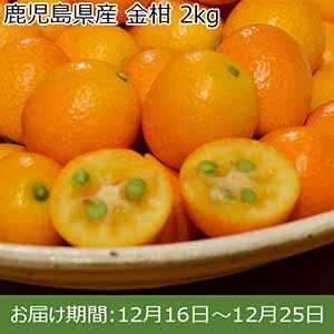 鹿児島県産 金柑 2kg【限定50点】【お届け期間：12月16日〜12月25日】 【イオンカード会員限定12月】