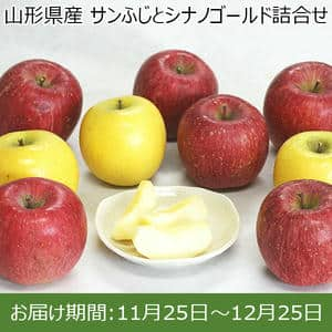 山形県産 サンふじとシナノゴールド詰合せ(秀品、サンふじ6〜7個、シナノゴールド2〜4個、計9〜11個、3kg以上)【限定100点】【お届け期間：11/25〜12/27】【ふるさとの味・南関東】