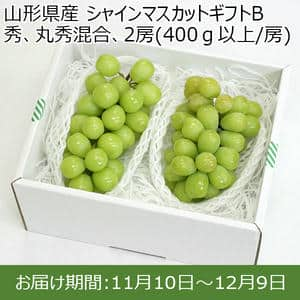 山形県産 シャインマスカットギフトB 秀、丸秀混合、2房(400ｇ以上/房)【限定100点】【お届け期間：11/10(日)〜12/9(月)】【ふるさとの味・南関東】