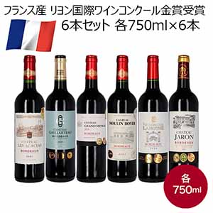 フランス産 リヨン国際ワインコンクール金賞受賞6本セット 各750ml×6本【お届け期間：1月11日〜1月23日】【Ａセレクション1月】