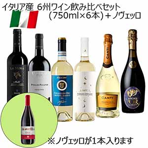 イタリア産 6州ワイン飲み比べセット＋イタリア新酒バルドリーノノヴェッロ2024付き(各750ml)【おいしいお取り寄せ】