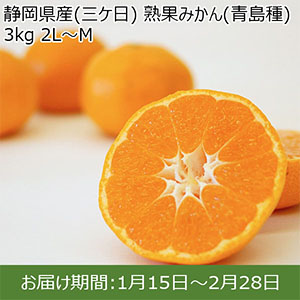 静岡県産(三ケ日) 熟果みかん(青島種)3kg 2L〜M【お届け期間：1月15日〜2月28日】【イオンカード会員限定1月】