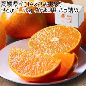 愛媛県産(JAえひめ中央) せとか 1.5kg ご家庭用 バラ詰め【限定300点】【お届け期間：2月1日〜2月28日】【Ａセレクション1月】