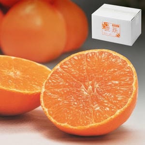 愛媛県産(JAえひめ中央) あいか 1.5kg ご家庭用 バラ詰め【限定400点】【お届け期間：12月20日〜12月28日】【イオンゴールドカード会員さま限定特別セール12月】