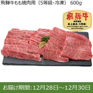 岐阜県産 飛騨牛もも焼肉用(5等級・冷凍)600g【限定50点】 【お届け期間：12/28(土)〜12/30(月)】【年末年始ごちそう特集】【ふるさとの味・東海】