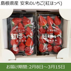 島根県産 安来のいちご(紅ほっぺ)【お届け期間:2月8日〜3月15日】【ふるさとの味・中四国】