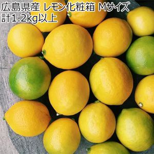 広島県産 レモン化粧箱 Mサイズ 計1.2kg以上【お届け期間:12月10日〜12月27日】【ふるさとの味・中四国】