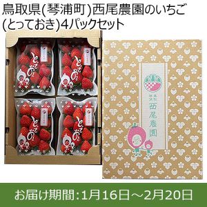 鳥取県(琴浦町)西尾農園のいちご(とっておき)4パックセット250g以上×4パック【お届け期間:1月16日〜2月20日】【ふるさとの味・中四国】