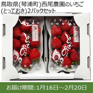 鳥取県(琴浦町)西尾農園のいちご(とっておき)2パックセット250g以上×2パック【お届け期間:1月16日〜2月20日】【ふるさとの味・中四国】