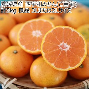 愛媛県産 西宇和みかん(ご自宅) 計3kg 良品 3Lまたは2Lサイズ【お届け期間:12月10日〜12月30日】【ふるさとの味・中四国】