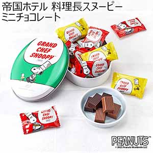 帝国ホテル 料理長スヌーピー ミニチョコレート(10個)【お届け期間：1月10日〜順次】【バレンタイン】