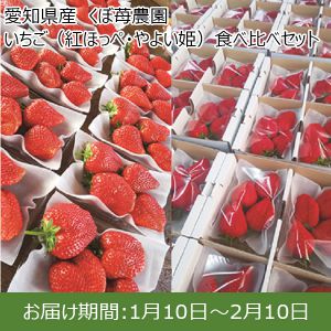 愛知県産 くぼ苺農園 いちご(紅ほっぺ・やよい姫)食べ比べセット計4パック(紅ほっぺ×2パック・やよい姫×2パック ※1パック4〜6粒)【ふるさとの味・東海】