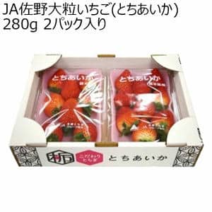 (栃木県)JA佐野大粒いちご(とちあいか)280g 2パック入り【限定100点】【お届け期間2025/1/6-2025/2/28】【ふるさとの味・北関東】