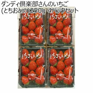 (栃木県)真岡市地区ダンディ倶楽部さんのいちご(とちおとめ)250g 4パックセット【お届け期間2025/1/7-2025/3/31】【ふるさとの味・北関東】