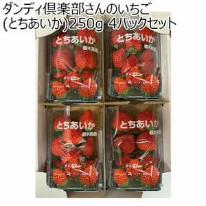 (栃木県)真岡市地区ダンディ倶楽部さんのいちご(とちあいか)250g 4パックセット【お届け期間2025/1/7-2025/3/31】【ふるさとの味・北関東】