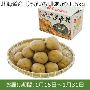 北海道産 じゃがいも 北あかり L 5kg【お届け期間：1月15日〜1月31日】【初売り】