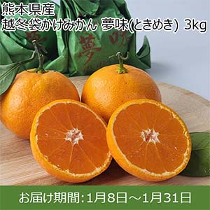 熊本県産  越冬袋かけみかん 夢味(ときめき) 3kg【お届け期間：1月8日〜1月31日】【初売り】