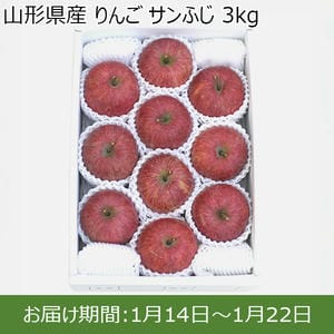 山形県産 りんご サンふじ 3kg【お届け期間：1月14日〜1月22日】【初売り】