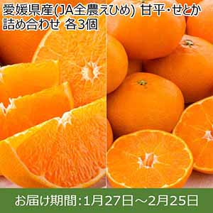 愛媛県産(JA全農えひめ) 甘平・せとか 詰め合わせ 各3個【限定50点】【お届け期間：1月27日〜2月25日】【イオンカード会員限定2月】